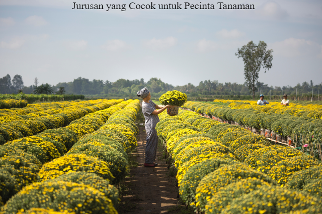5 Jurusan yang Cocok untuk Pecinta Tanaman dan Pertanian